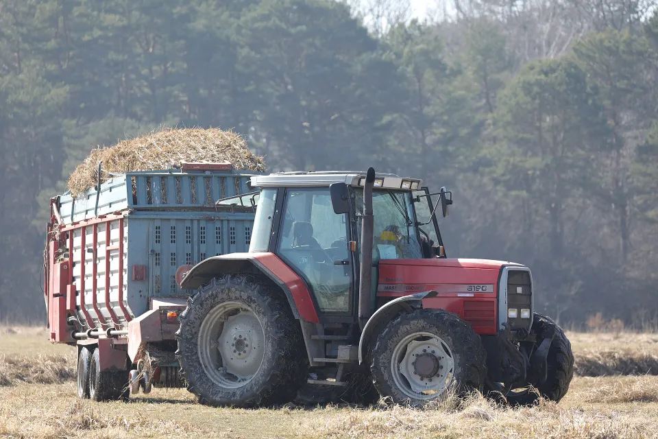 Massey Ferguson tractor with a forage wagon