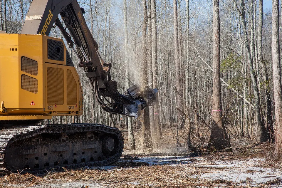 Tigercat forestry machine at work