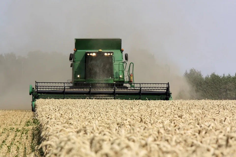 Combine harvester cutting wheat