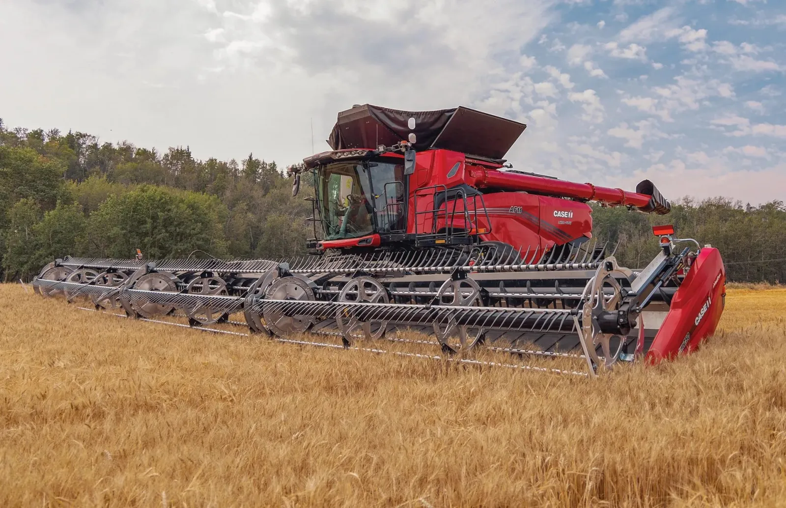 Case IH AF11