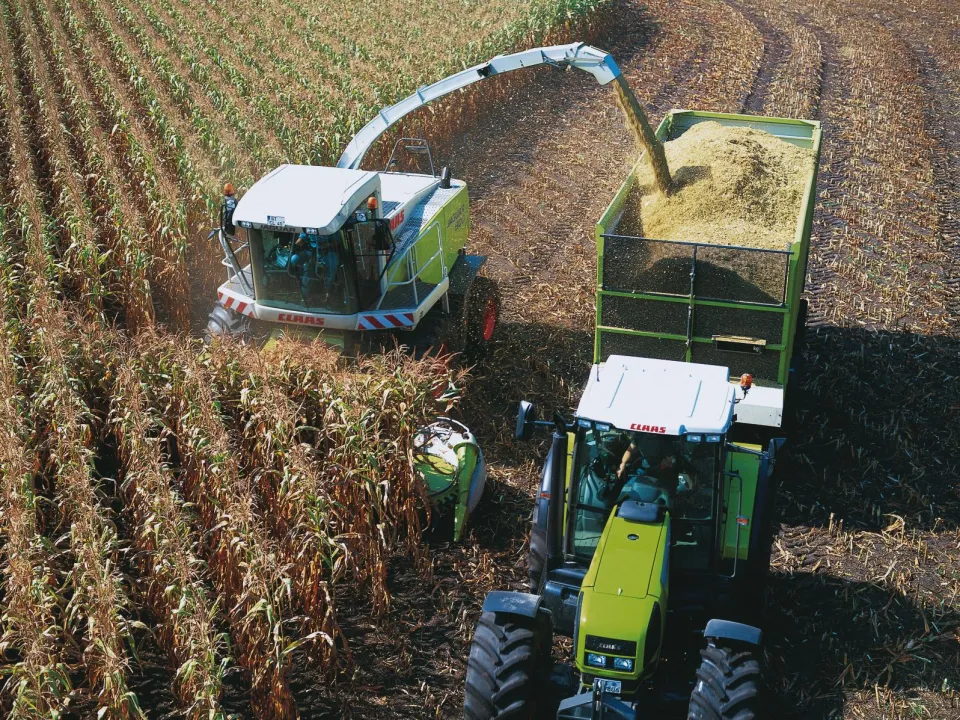 Self-propelled forage harvester chopping maize