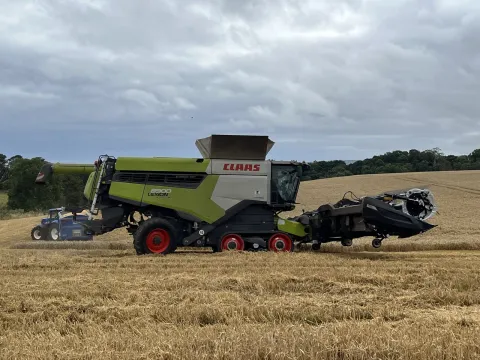 CLAAS LEXION 8900 combine harvesting wheat