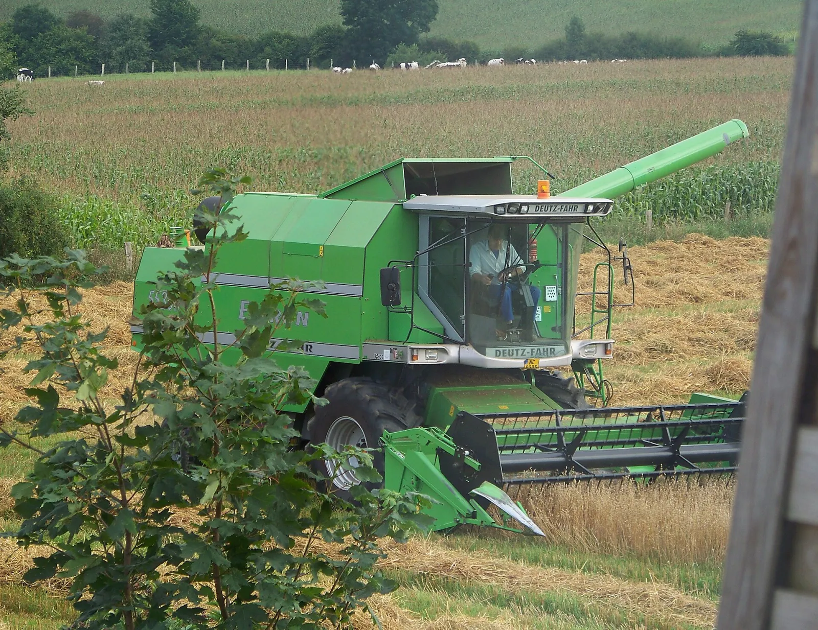 Deutz-Fahr combine harvester (older model pictured)