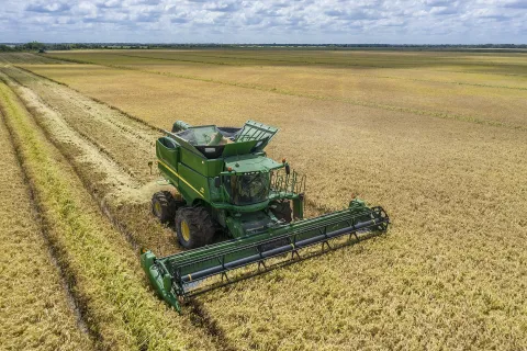 John Deere S-series combine harvesting rice