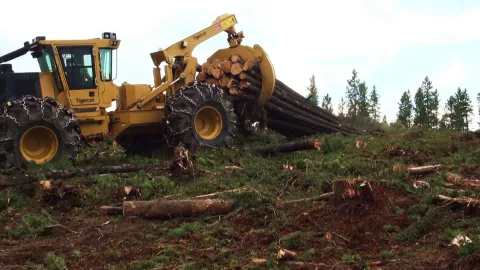 Tigercat 630E forestry machine